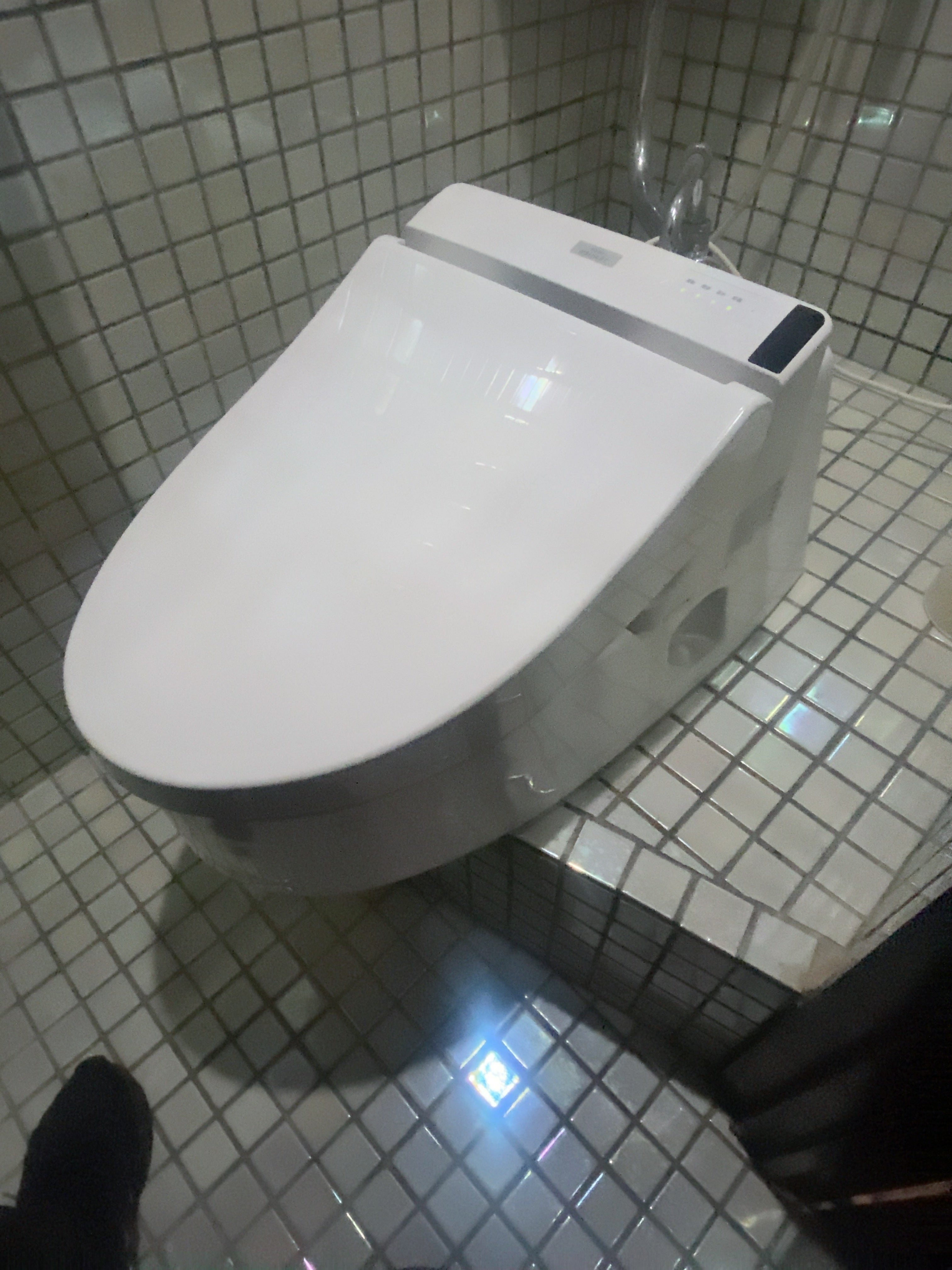 の画像